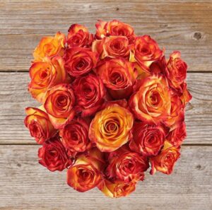 Roses - Fortified