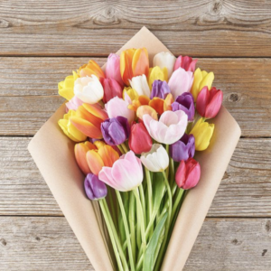 Tulips - All the Rage